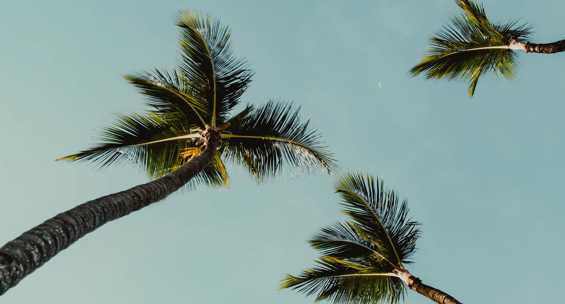 Geekwire names Outreach one of Seattle's hottest startups in their Seattle 10 list