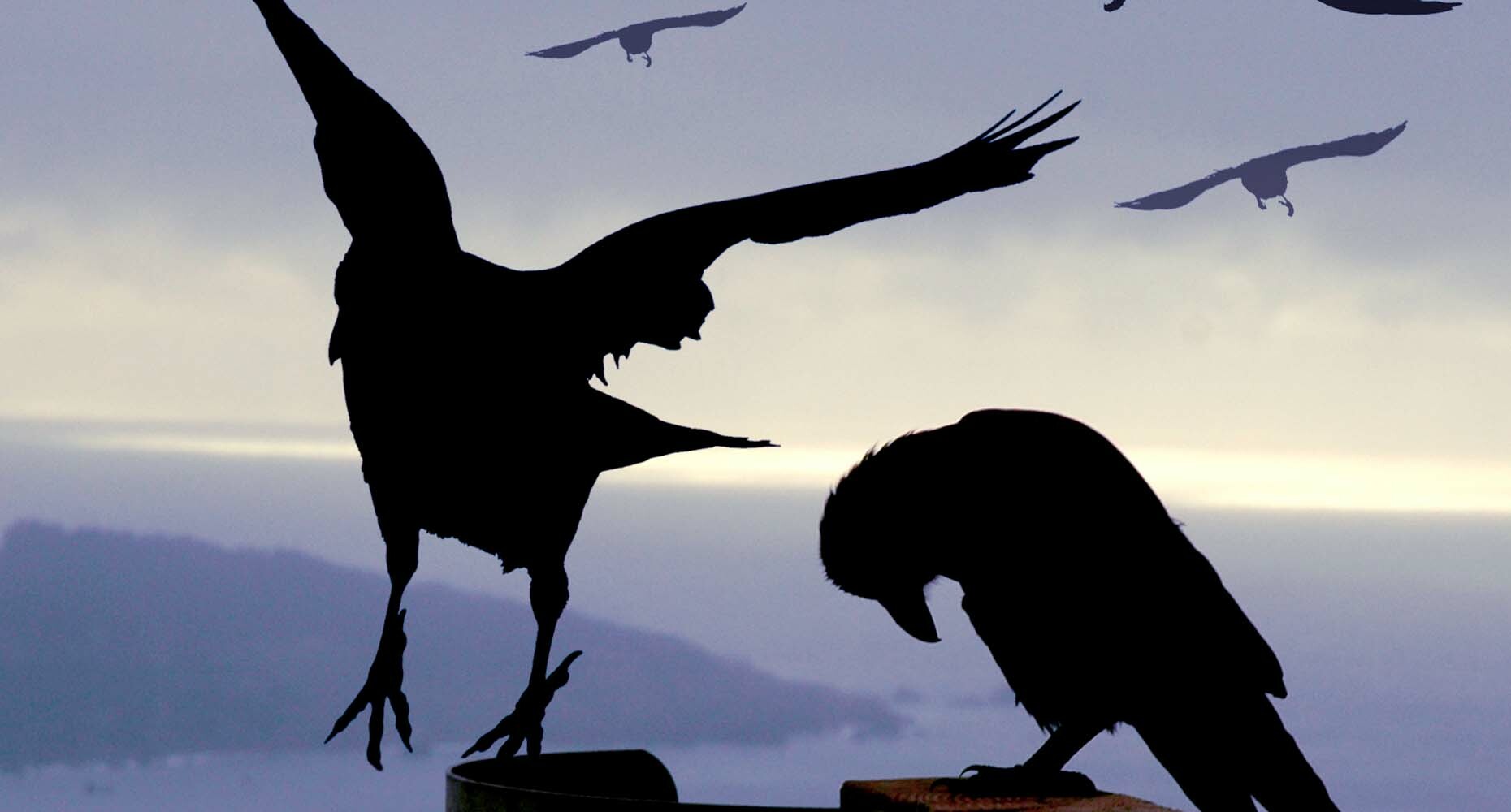 Use improv's CROW principle to build better connections with prospects