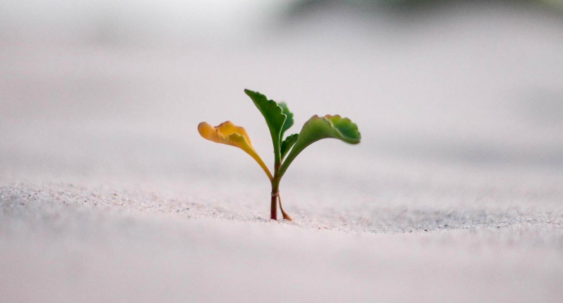 Why is customer engagement so important for success?