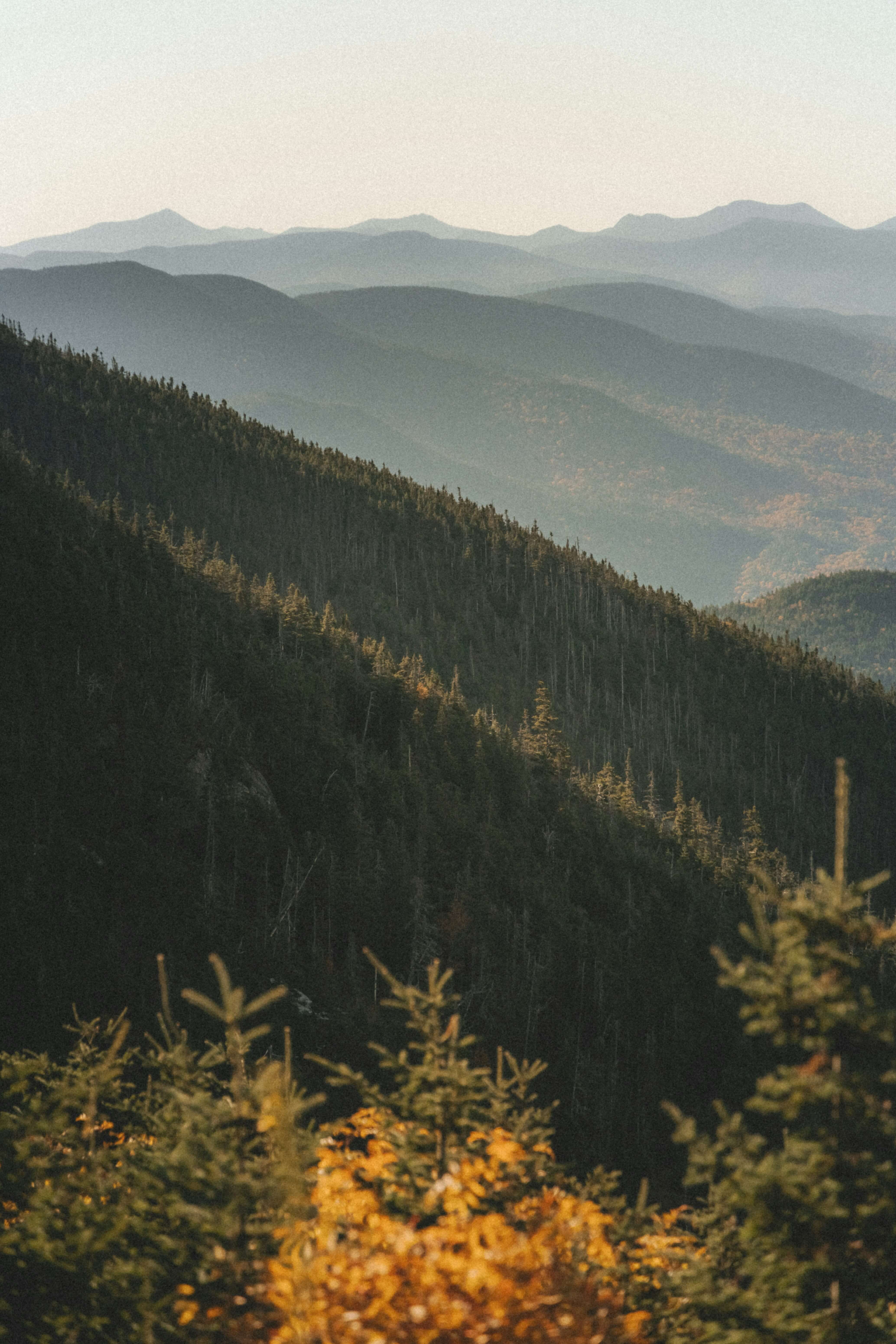 Layered mountain ranges with dense pine forests and autumn foliage in the foreground under a clear sky.