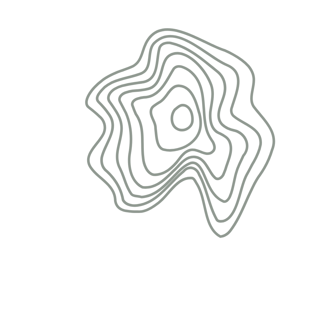 Abstract grey contour lines forming irregular concentric shapes on a transparent background.