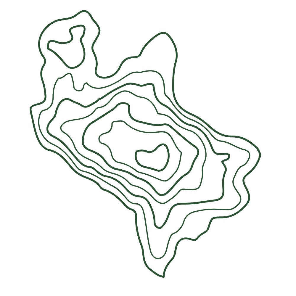 Abstract dark green contour lines forming an irregular organic shape on a transparent background.