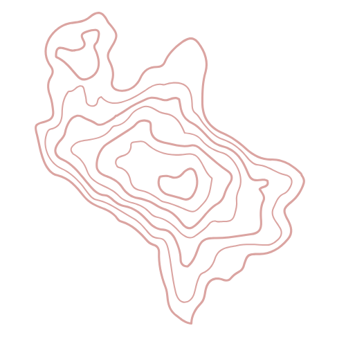 Abstract contour lines forming an organic, irregular shape with multiple layers.