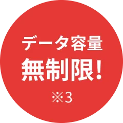 データ容量無制限!