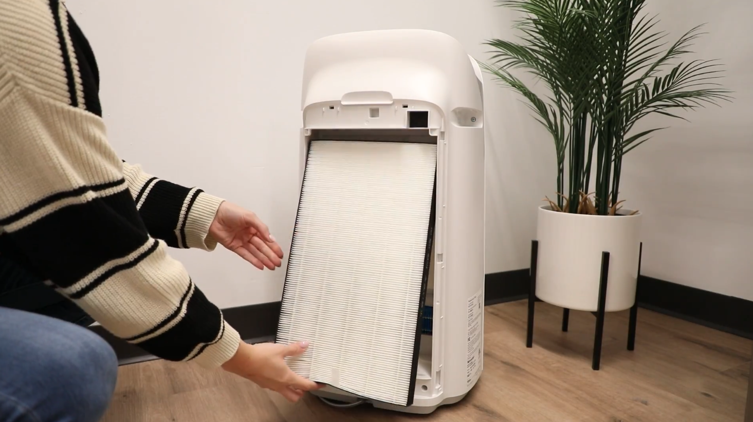 Person removing or installing a filter in a white air purifier unit on a wooden floor near a potted plant.