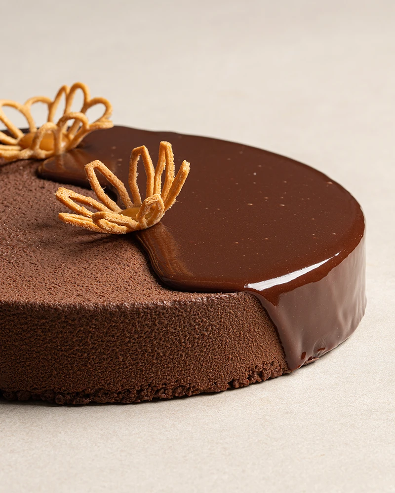 Chocolate Explosion with chocolate velvet finish, glossy chocolate glaze, and flower tuile decoration.