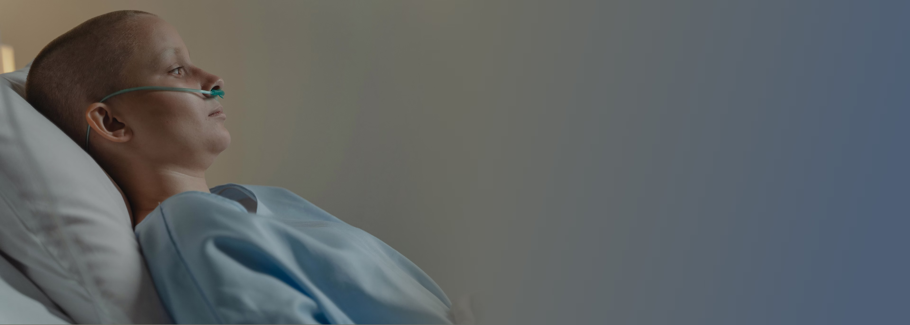 Contact Banner Background