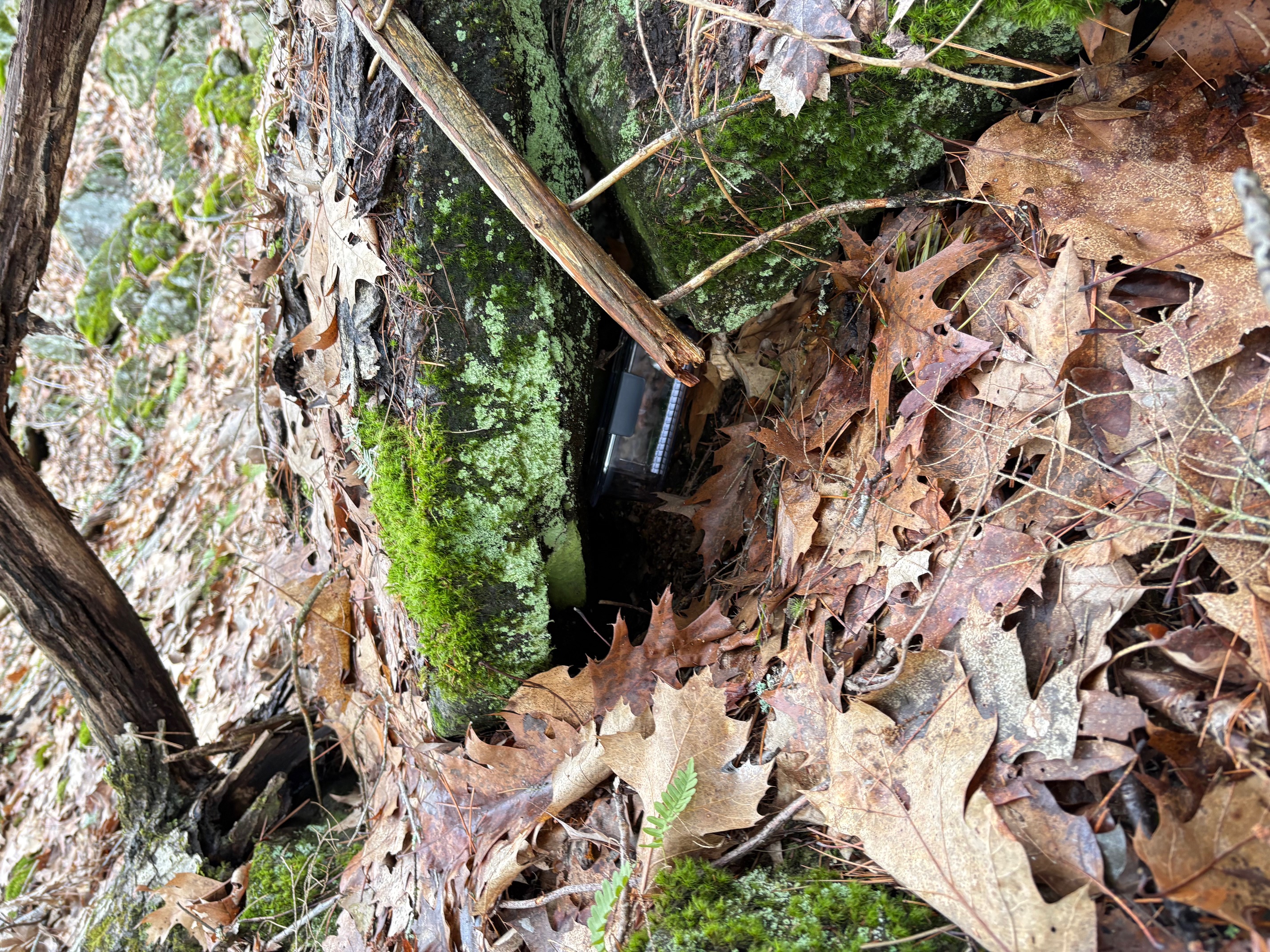 image of people in a cozy environment using a tablet