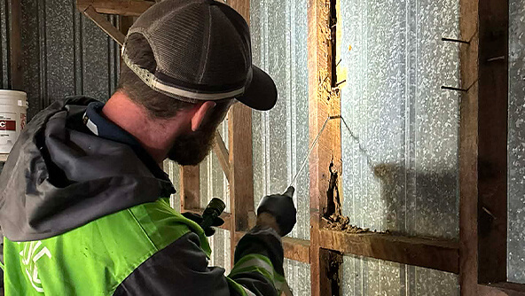 Assessing termite damage in Bundaberg