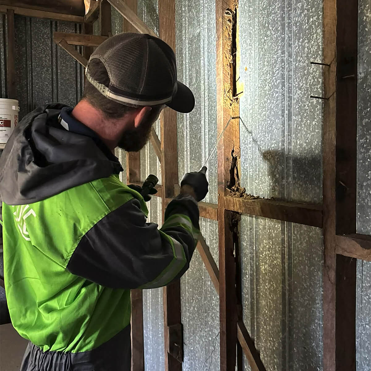 Termite control in Bundaberg assessing damage to timber in shed