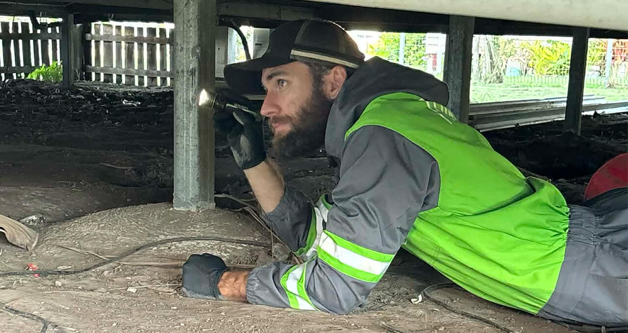 Bundaberg pest inspection being completed under a low set house