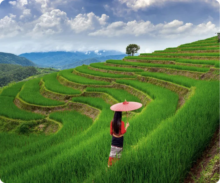 AirWay - Webflow Template Image