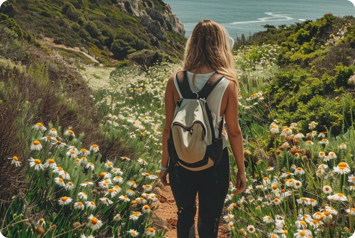 AirWay - Webflow Template Image