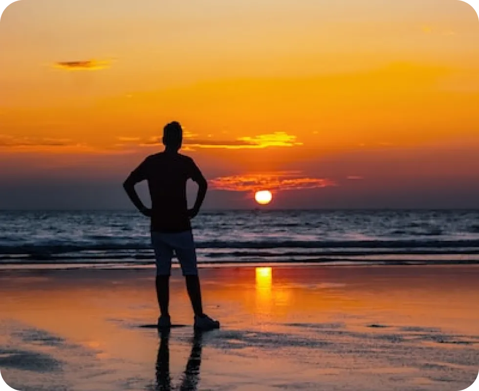 AirWay - Webflow Template Image