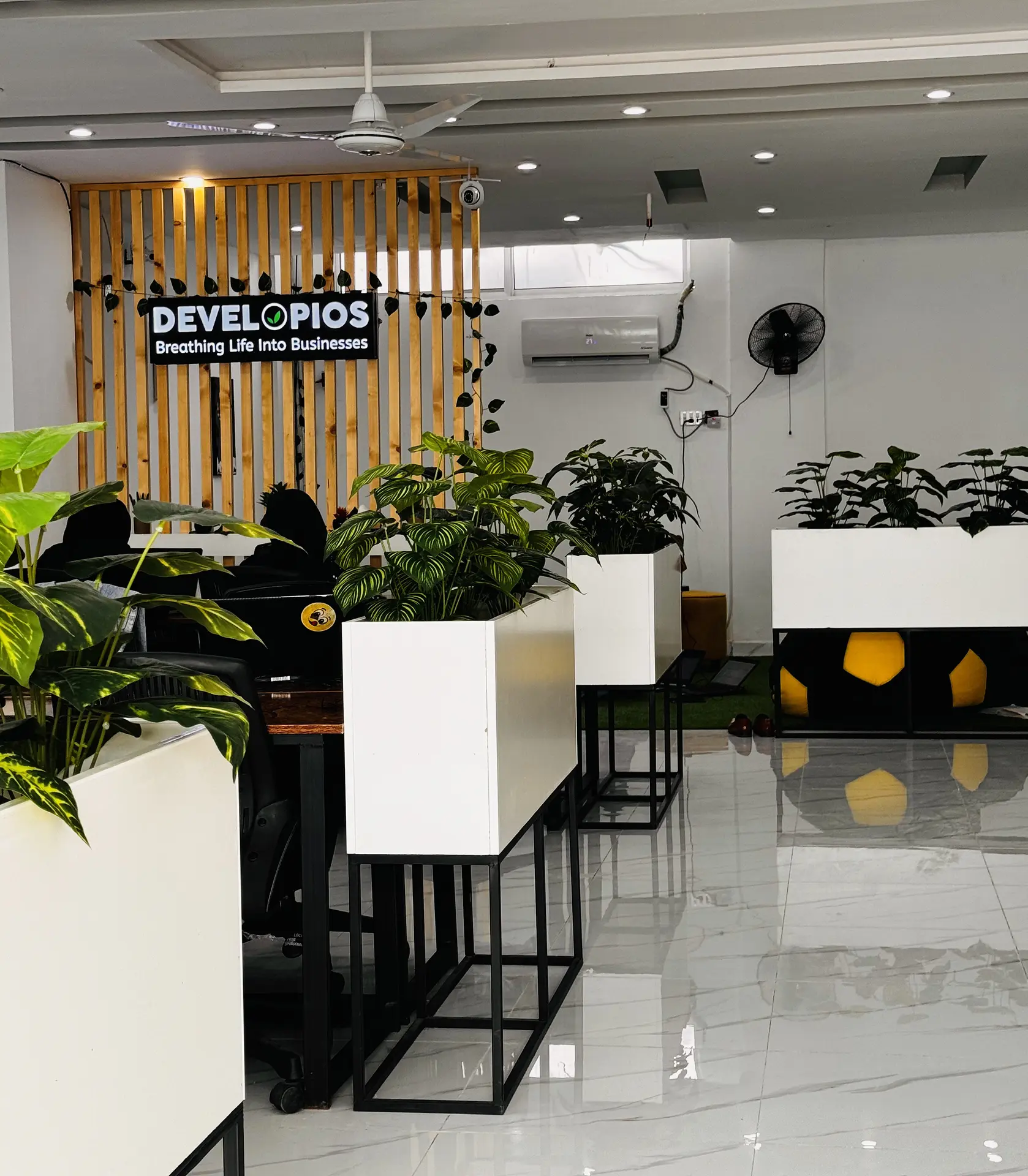 Modern Developios office interior with greenery and branding wall