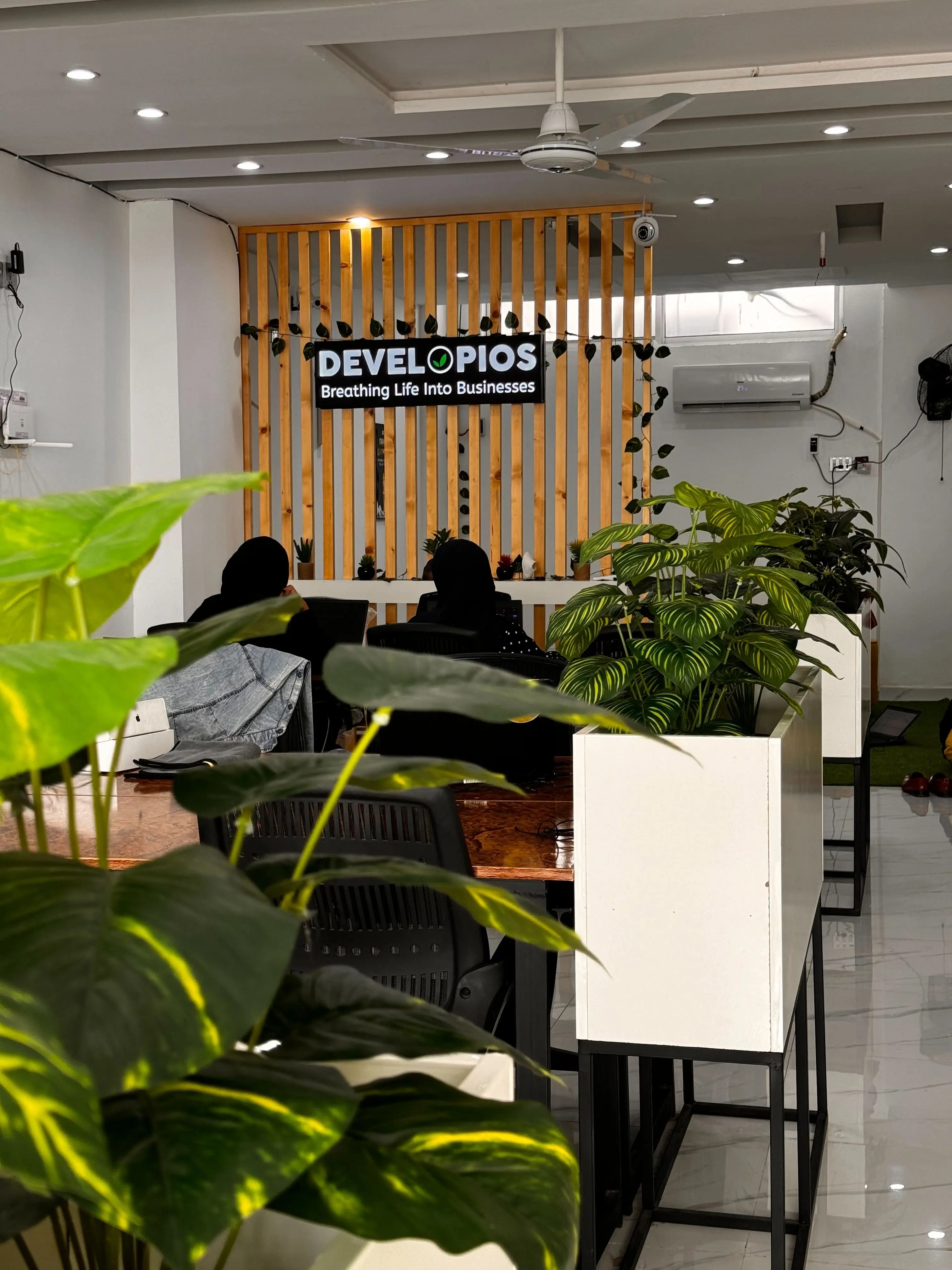 Developios office interior