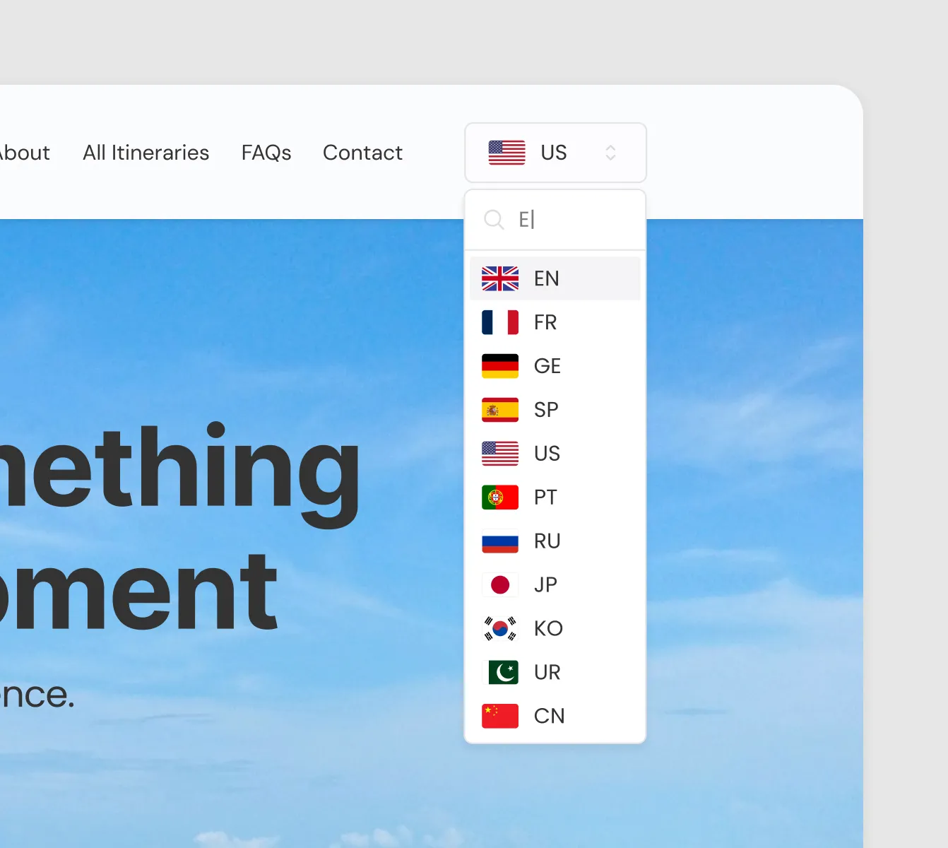 Website language selection dropdown showing flags and codes for multiple languages including English, French, German, Spanish, and others.