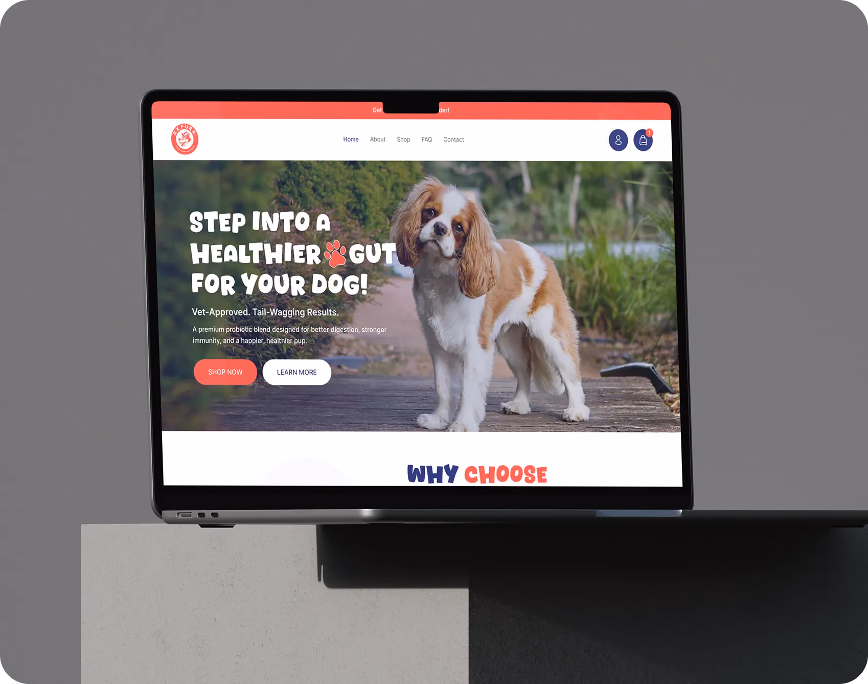 Laptop on stone steps displaying a business dashboard with metrics including total agencies, users, active courses, monthly revenue, and course popularity.