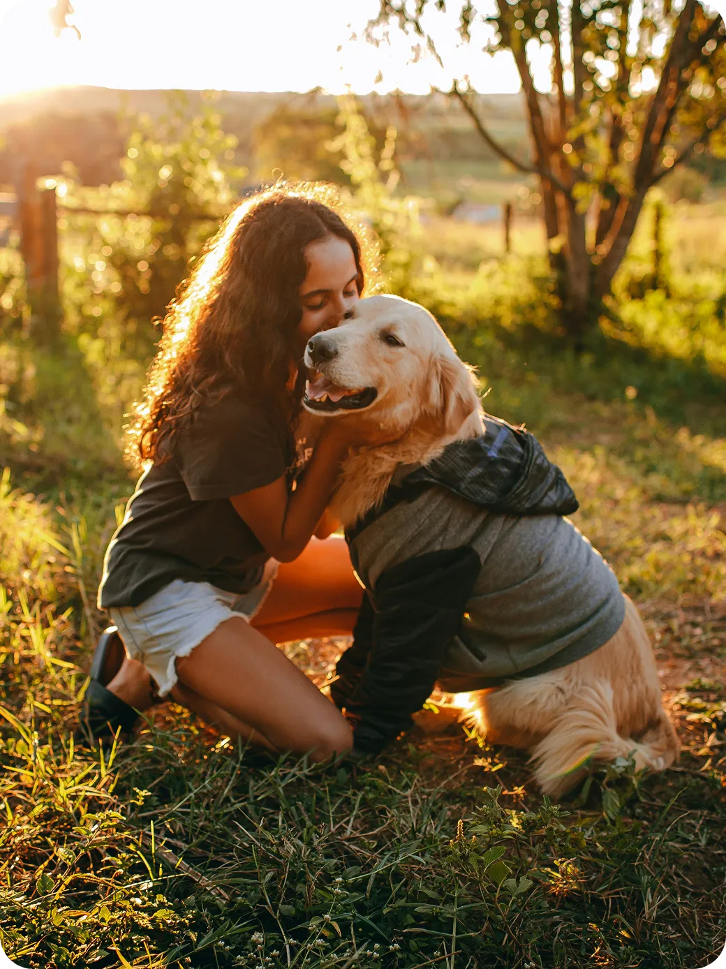 Girl with curly hair kisses a golden retriever wearing a jacket outdoors at sunset.
