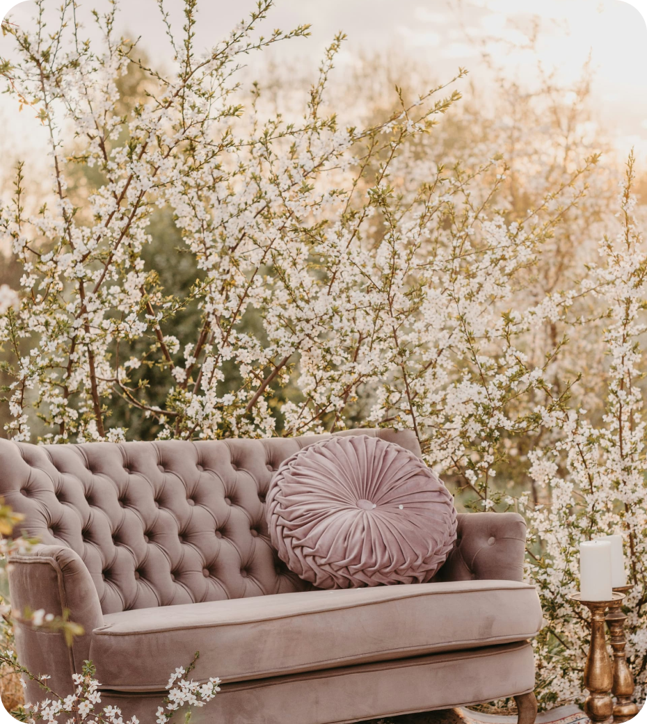 Pink tufted sofa with round pillow against blossoming white flower branches outdoors.