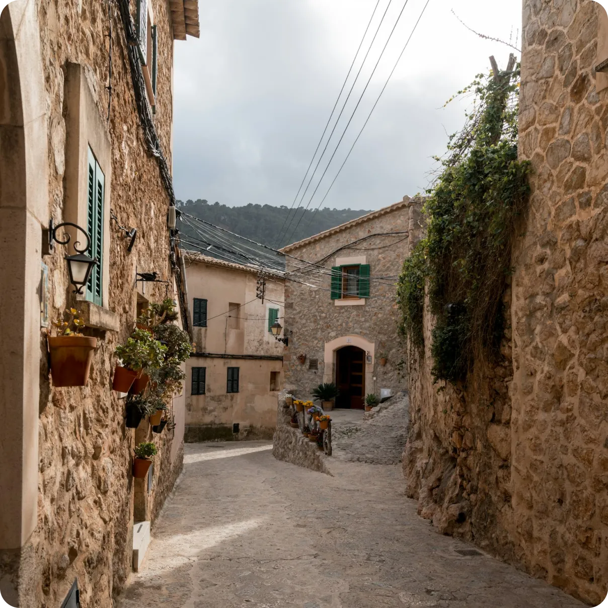 Narrow stone-paved alley lined with traditional stone houses and potted flowers in a Mediterranean village