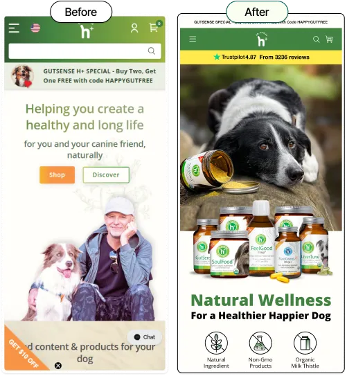 Before: man with dog and health message; After: dog with supplements and natural wellness claim.
