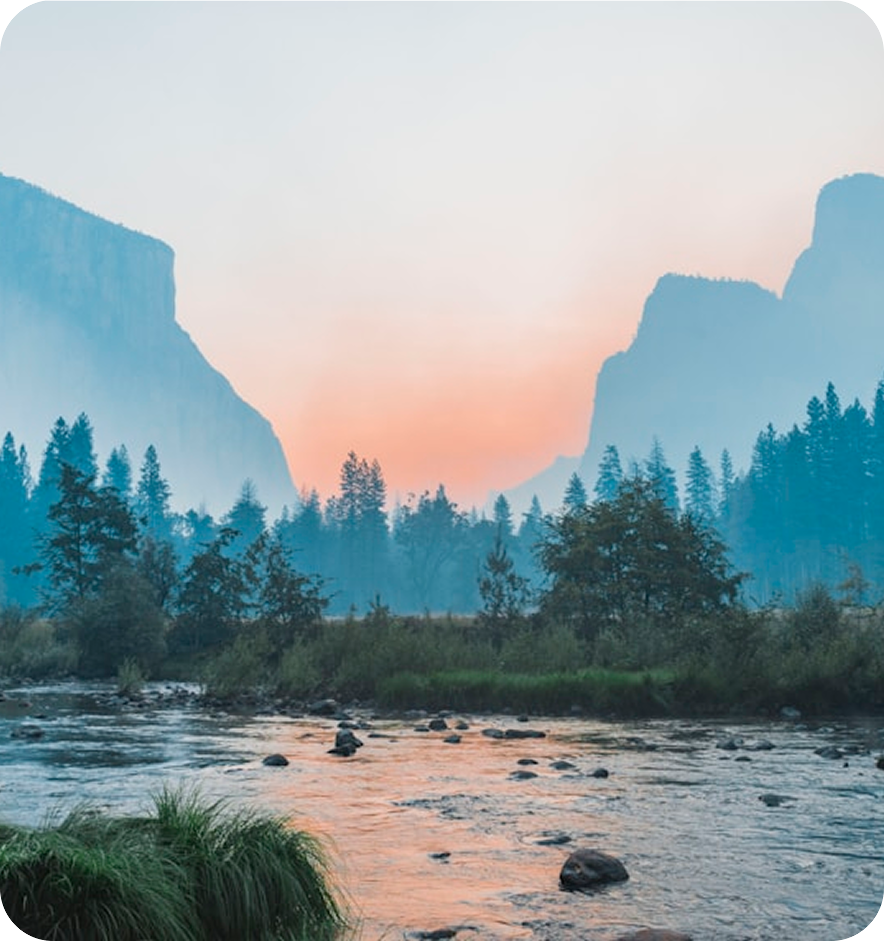 Misty mountain valley at sunrise with pine forest and a rocky river