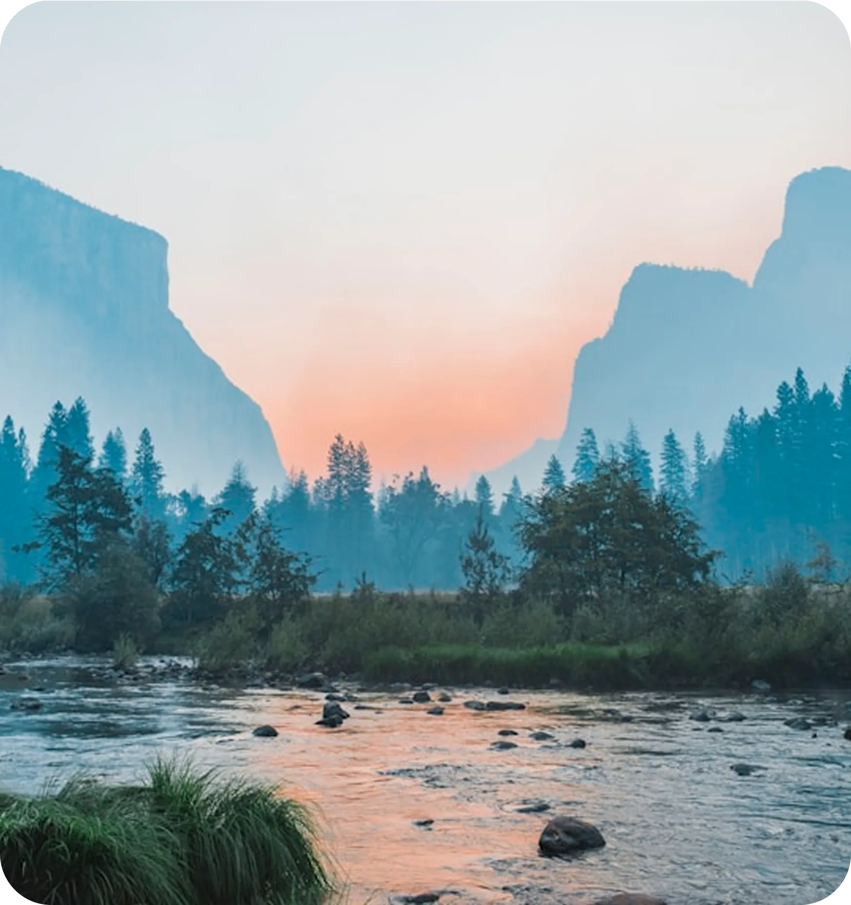 Misty mountain valley at sunrise with pine forest and a rocky river
