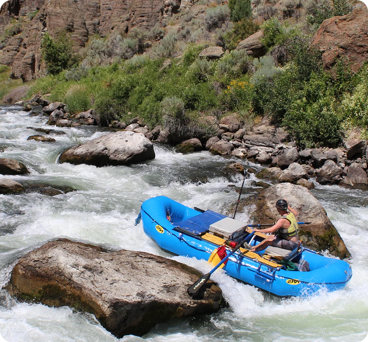 Split Ridge Field Team member guiding a blue raft through whitewater rapids