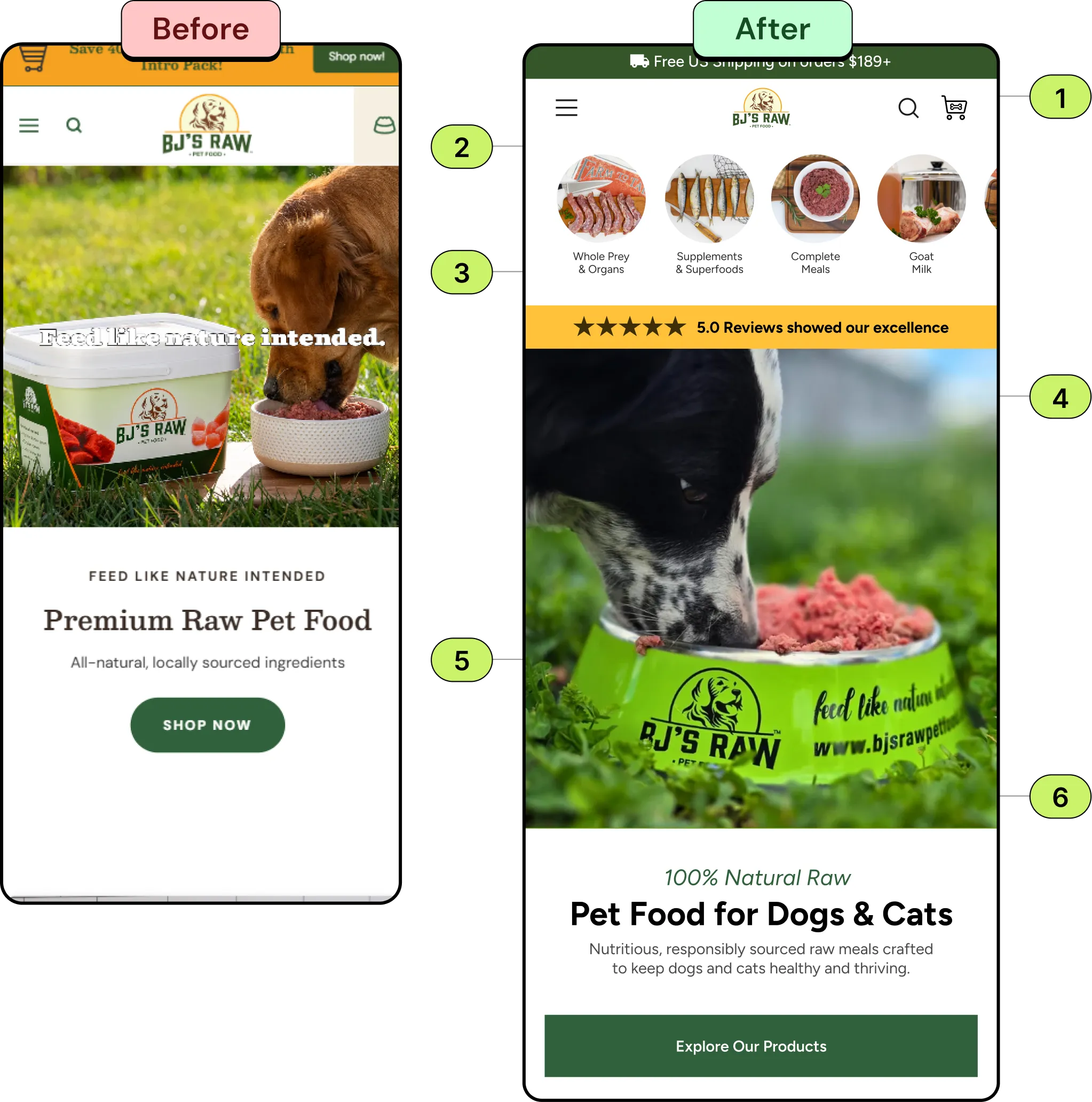 Before and after mobile homepage for BJ's RAW: the original hero with text over a dog eating, and the redesign with a free-shipping bar, category shortcuts, a 5.0 star reviews bar, a hero of a dog eating from a BJ's RAW bowl, the headline Pet Food for Dogs & Cats and an Explore Our Products button.