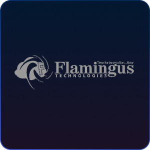 Flamingus Technologies Logo