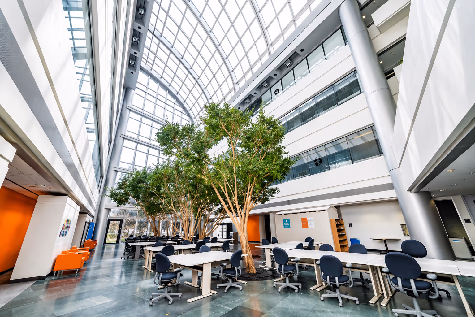 Spacious modern office atrium with large windows, indoor trees, rows of desks and blue office chairs.