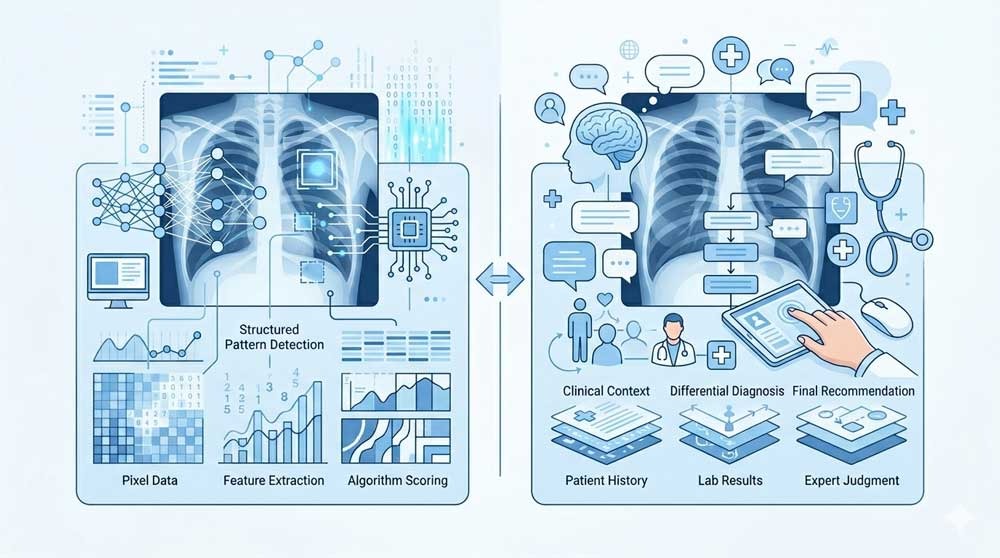 comparison between AI analysis and radiologist decision making in medical imaging.
