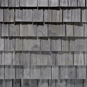 Lake Forest color swatch