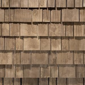 New Cedar color swatch