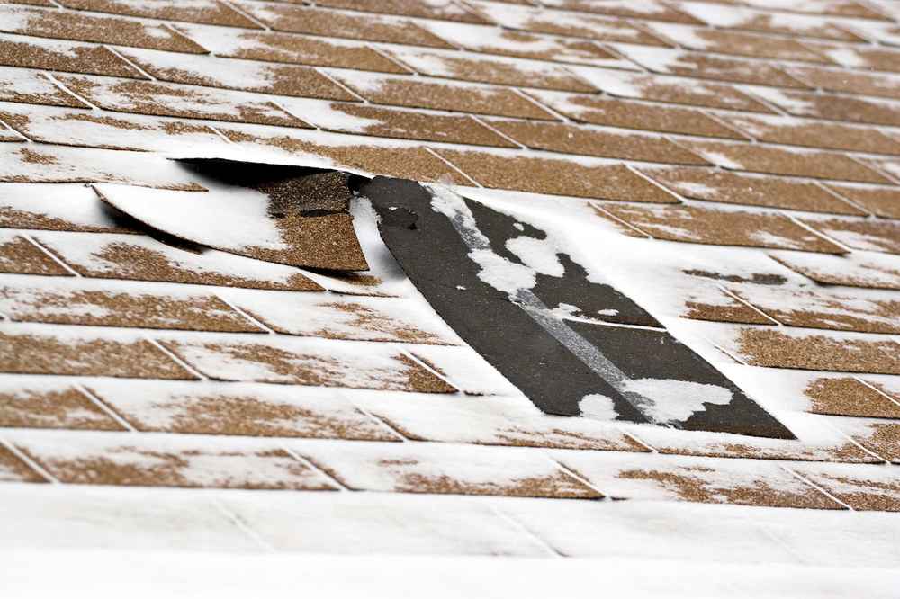 Trusted Winter Damage Repair in Georgia