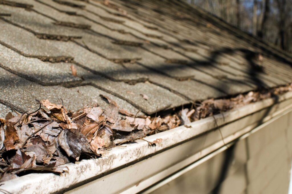 gutter expert in Atlanta