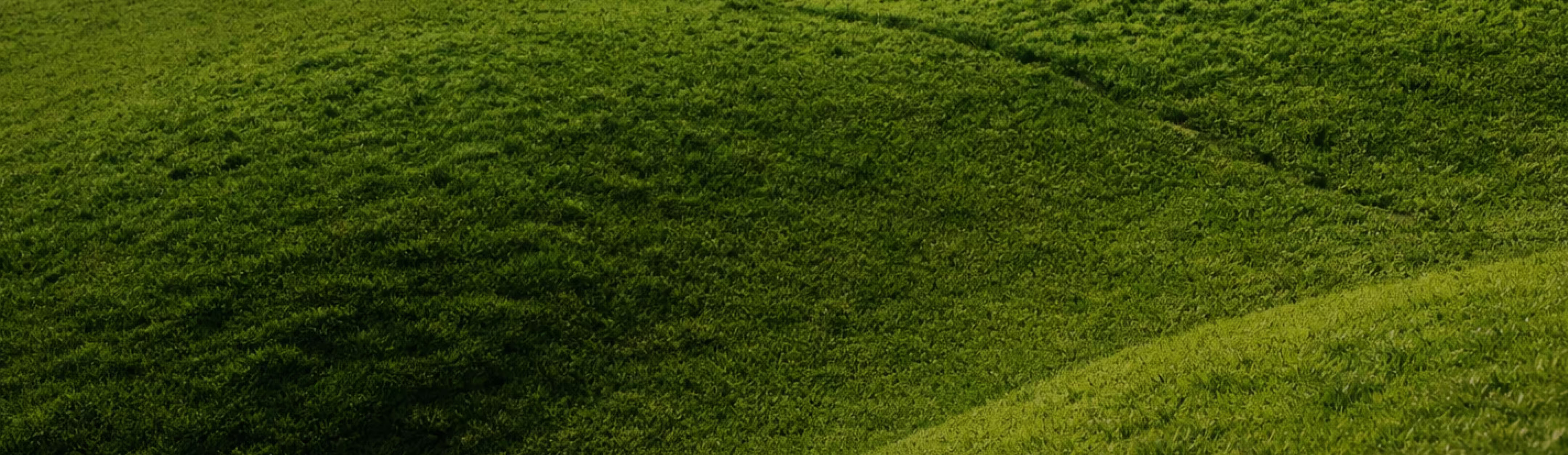 Lush green terraced grass fields creating curved patterns across rolling hills.