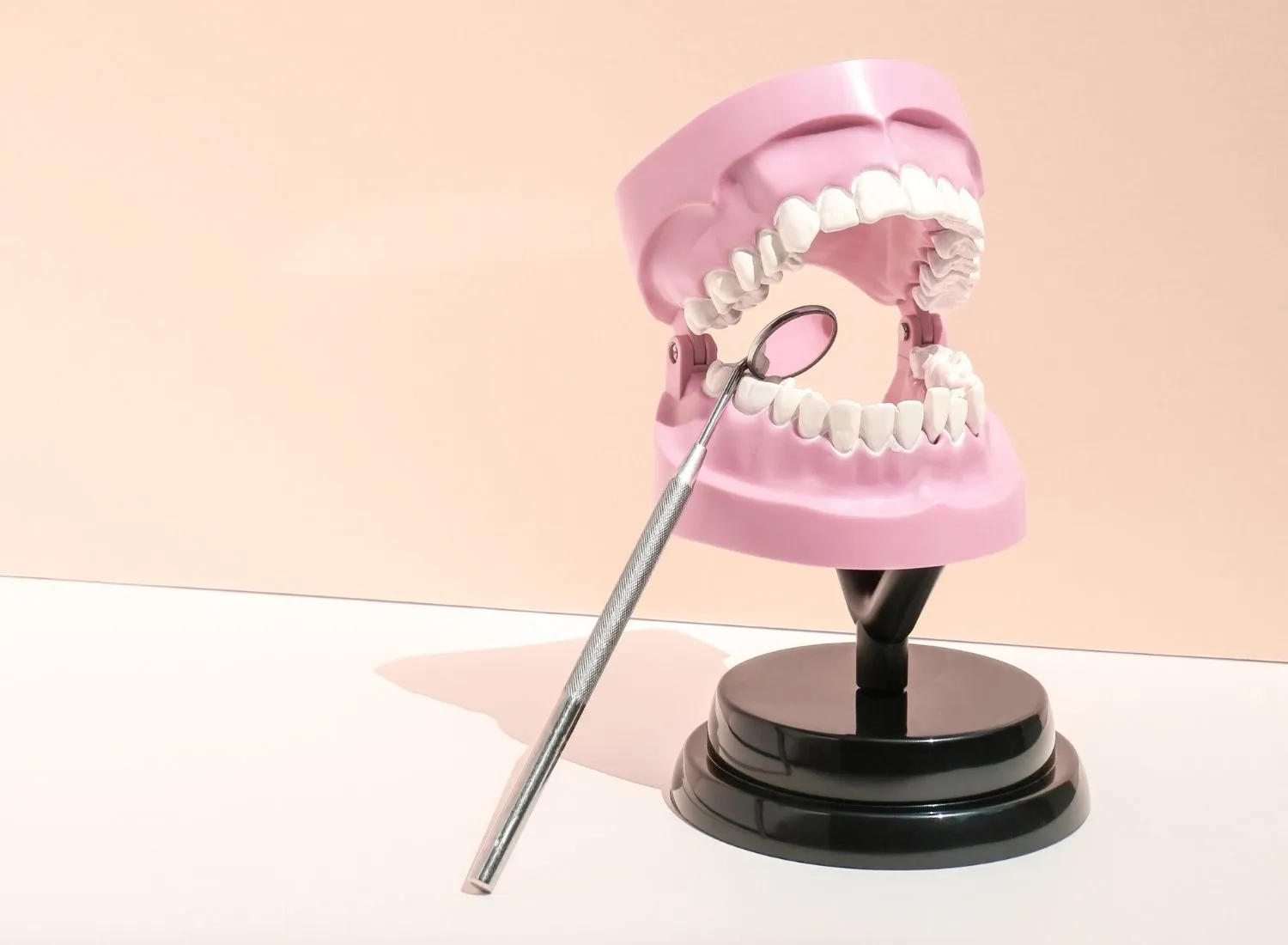 Dental model with white teeth on a black stand and a dental mirror reflecting the teeth.
