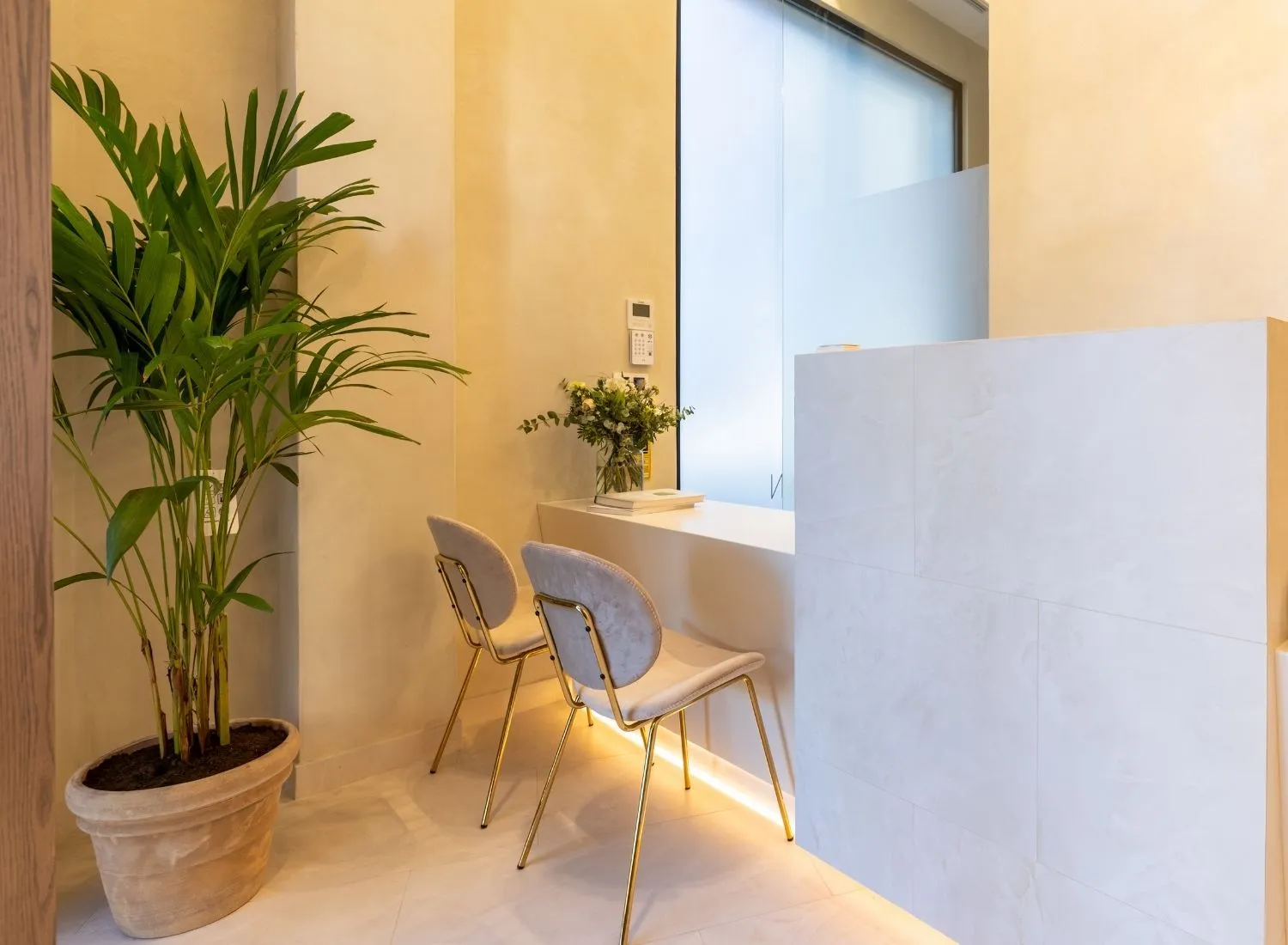 Minimalist reception area with white counter, two beige chairs with gold legs, and a potted plant.