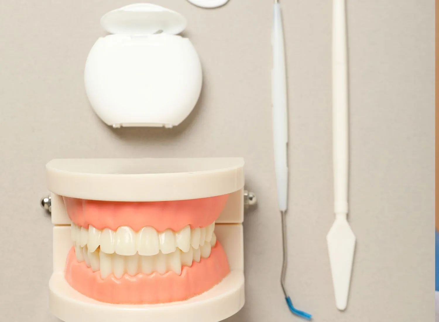 Dental model with teeth, white dental floss container, and two dental tools on a beige surface.
