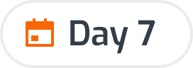 Icon of a calendar next to text reading Day 7 inside a rounded rectangular border.