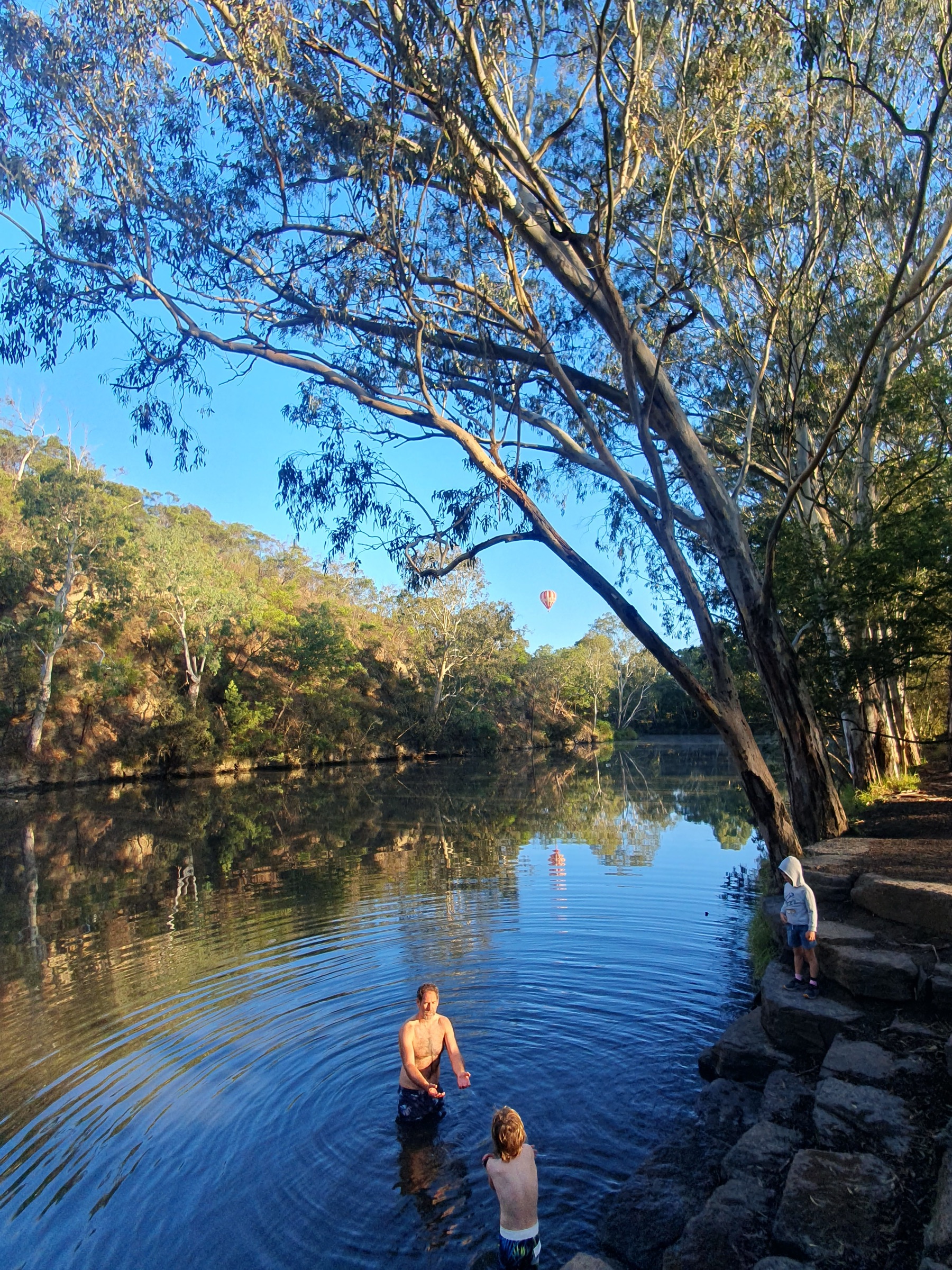 People swimming in the Birrarung River under eucalyptus trees on a sunny day