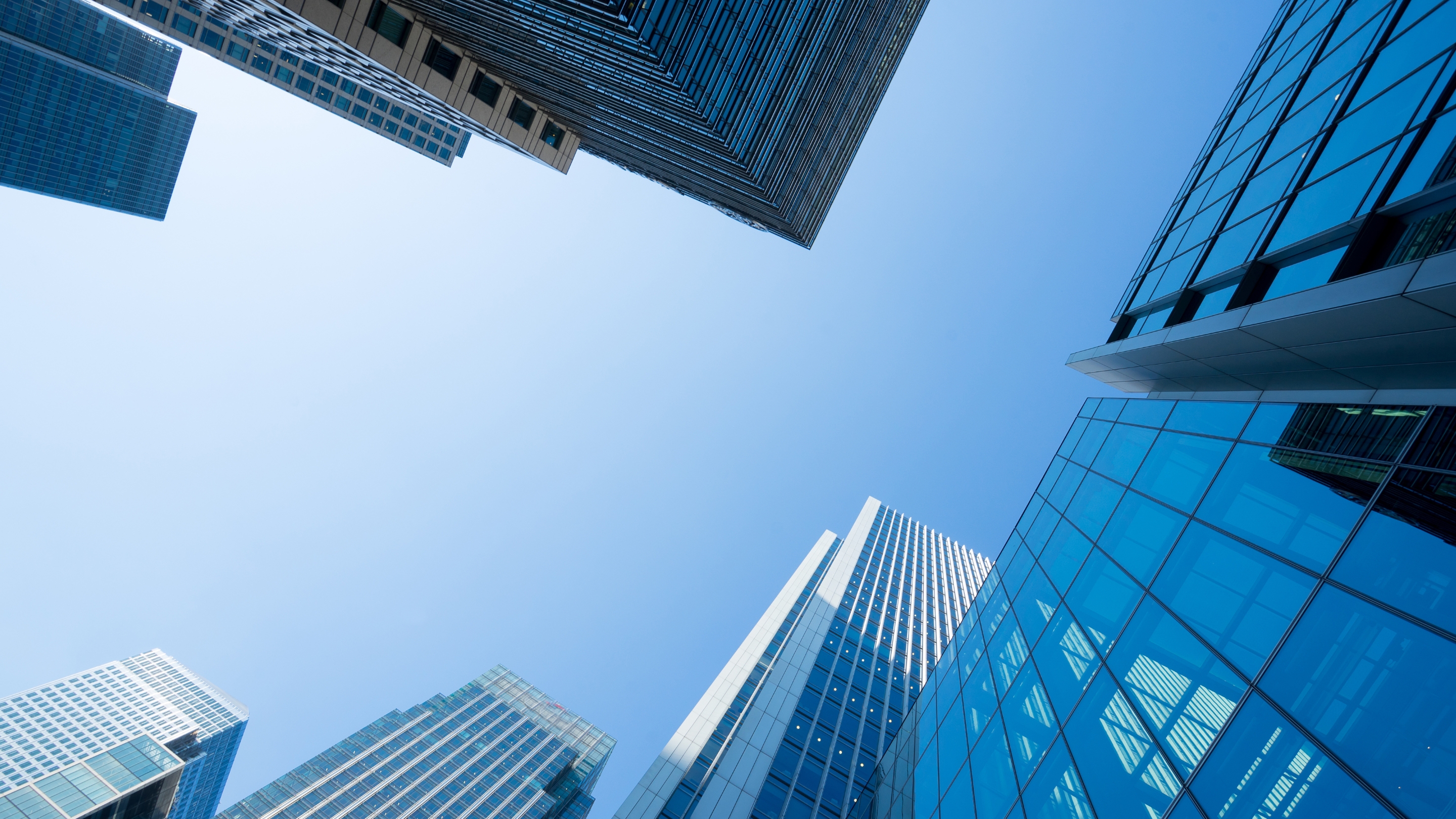 A contemporary house with a towering tree in the foreground.