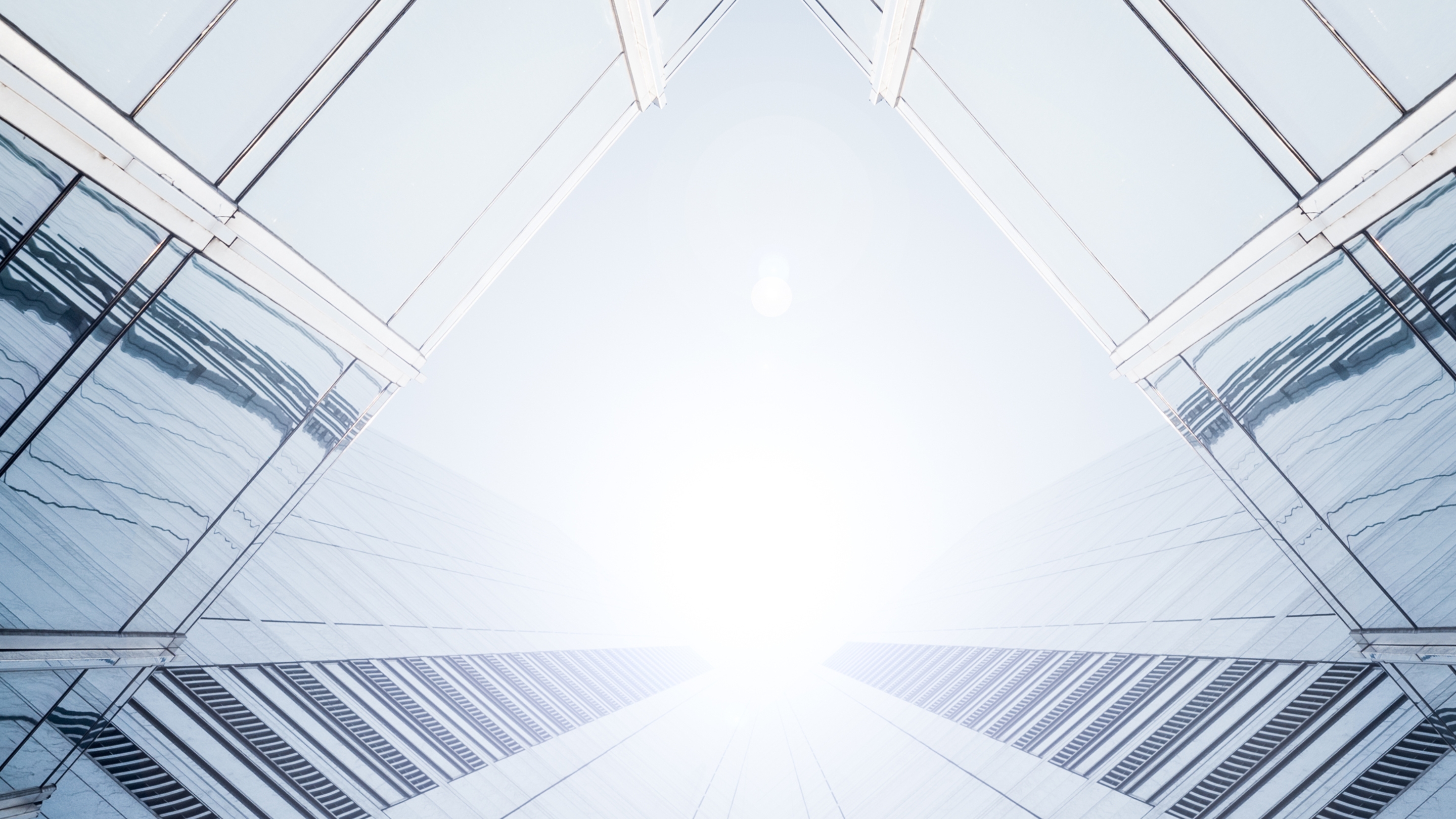 A contemporary house with a towering tree in the foreground.
