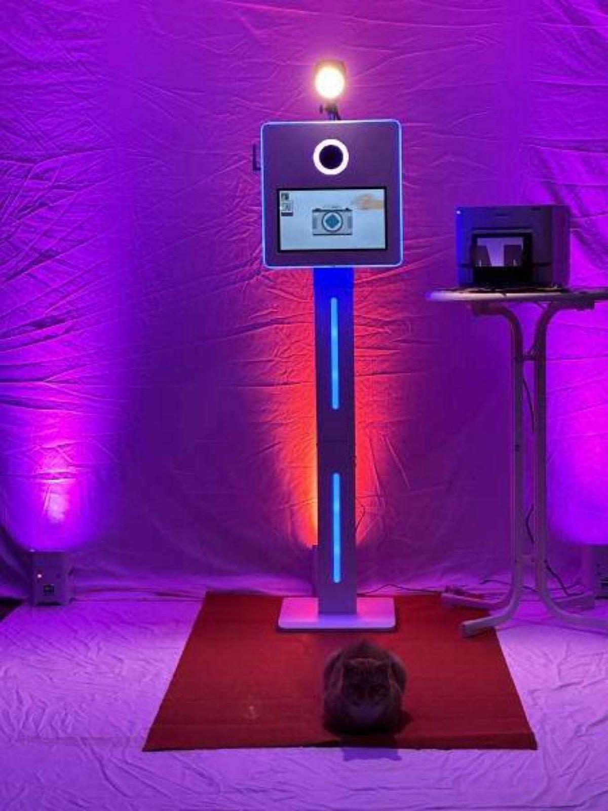 Photo booth setup with a camera kiosk on a red carpet and a cat sitting on the carpet, surrounded by purple lighting.