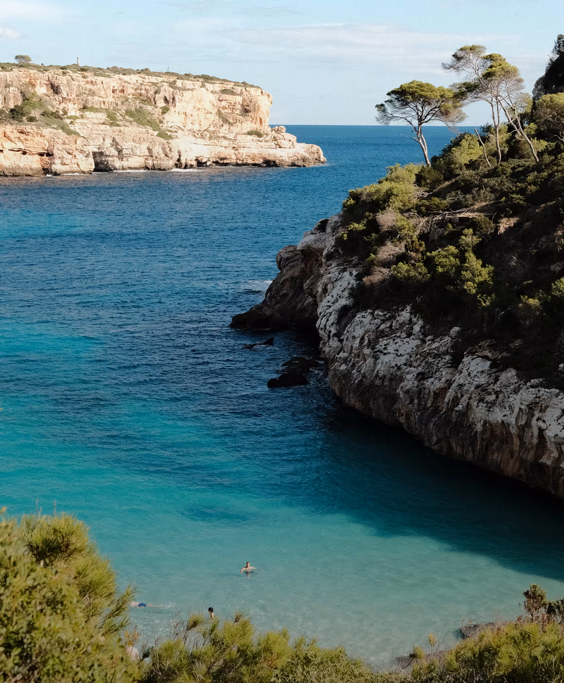 Deep-blue cove with limestone cliffs, pines and a lone swimmer