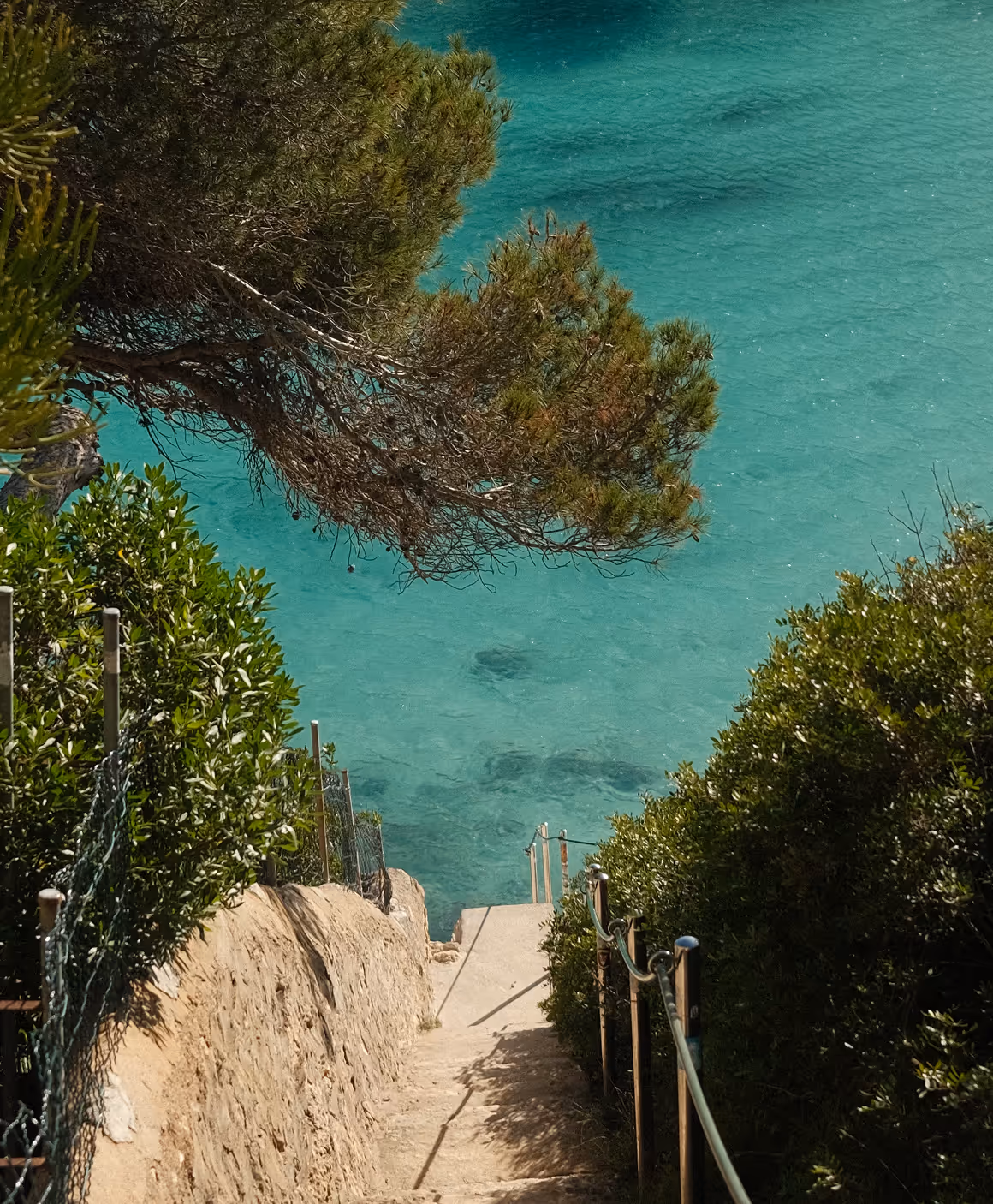Stone footpath winding down to a turquoise cove between pine trees
