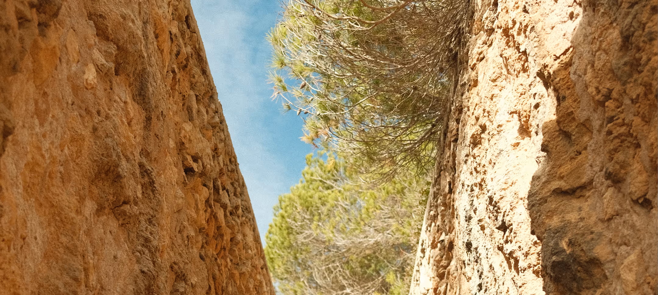Looking up through a narrow rocky gorge with a pine and blue sky