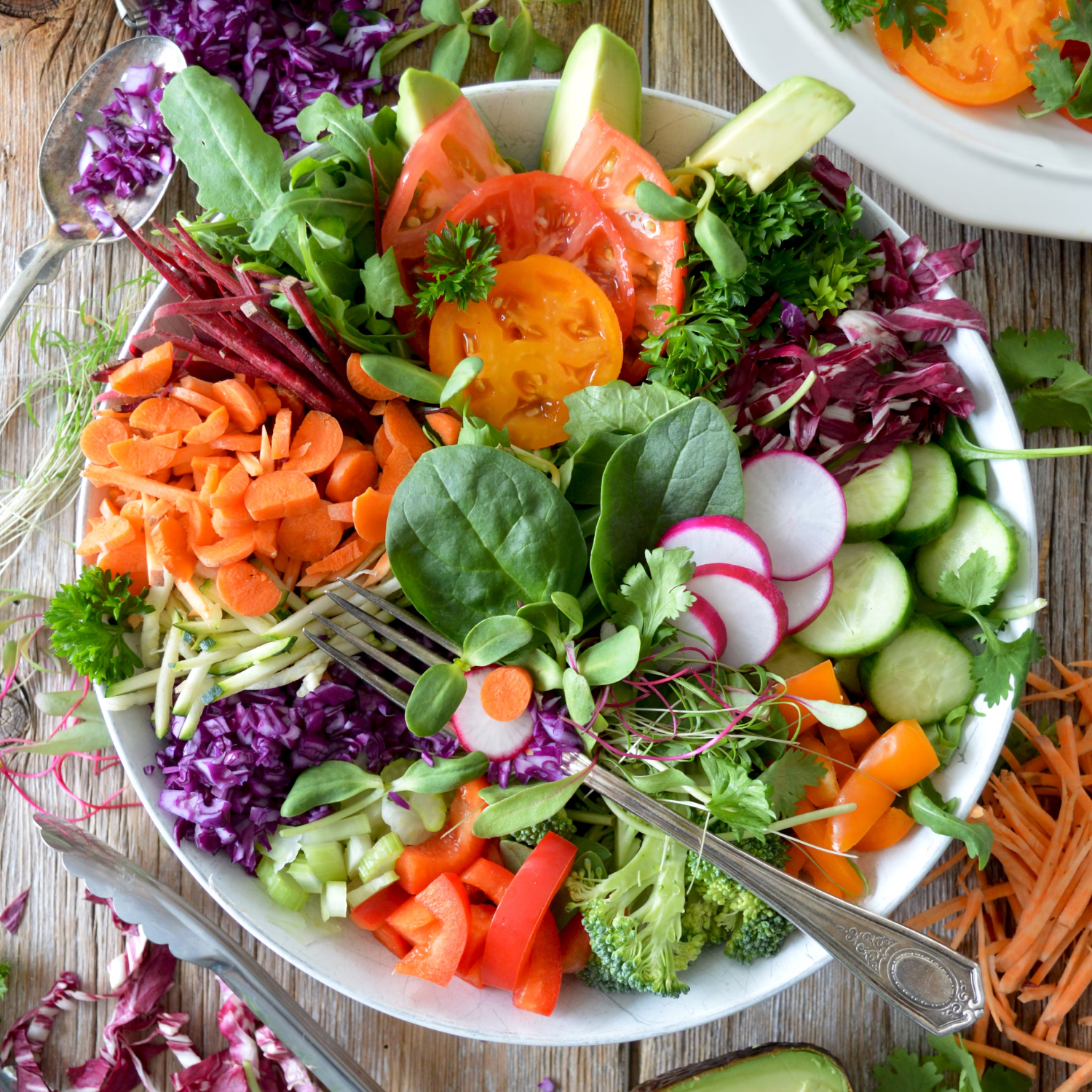 Chicken and avocado salad